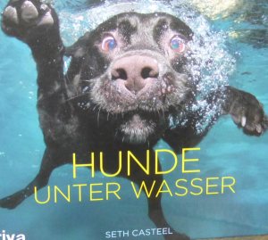 HundeunterWasser_1