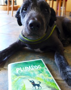Plumdog_1